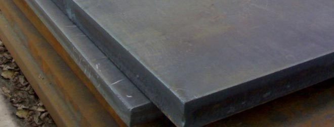 NICRODUR 400 Plates